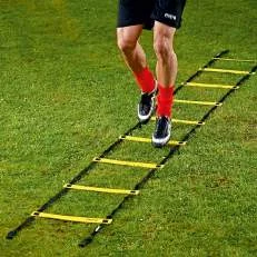 AP58 - Agility Ladde